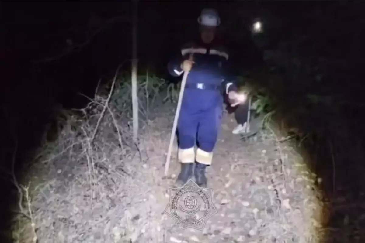 Спасатели МЧС нашли в горах и вернули домой 10 туристов