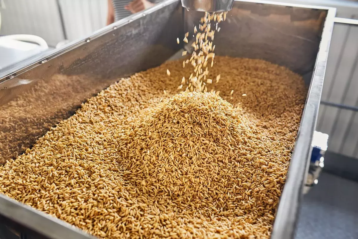 Агрокомплекс стоимостью 250 млн долларов построят на севере Казахстана