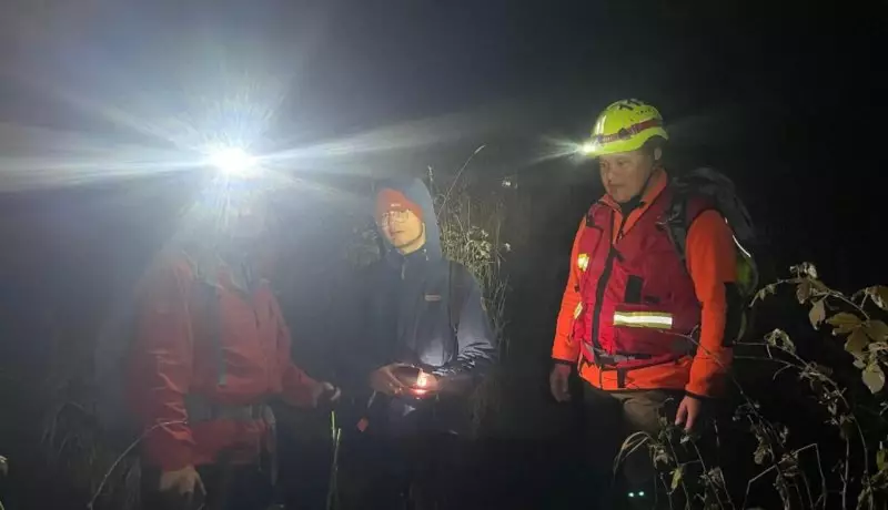 Спасательные операции провели в горах Алматинской области