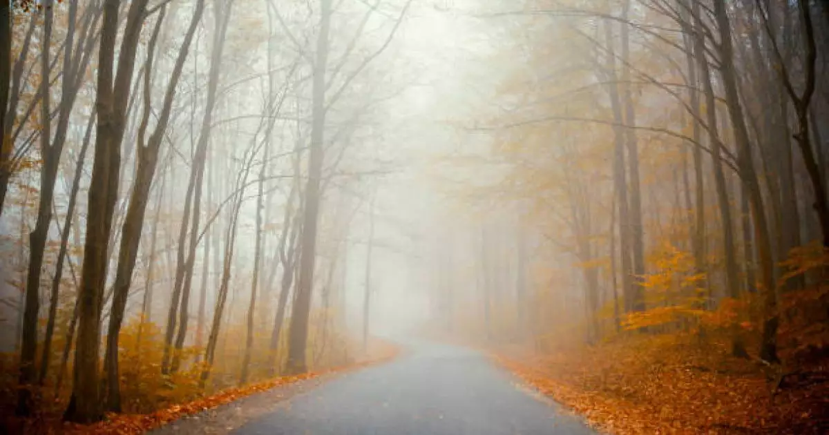  Тұман, жаңбыр: 27 қазанға арналған ауа-райы болжамы жарияланды 