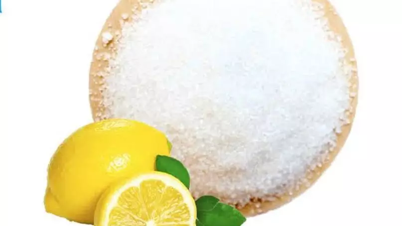 Қостанайда глютен мен лимон қышқылын өндіретін кешен салынады