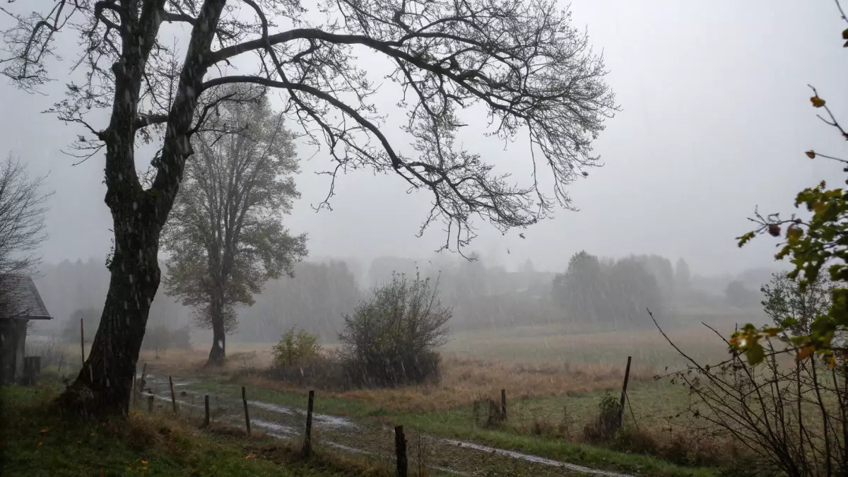 Синоптики прогнозируют дожди и туманы в Казахстане
