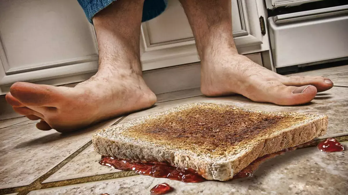 Эксперты рассказали, почему нельзя есть упавшую еду даже спустя секунду - новости на Lada.kz 27.10.2025