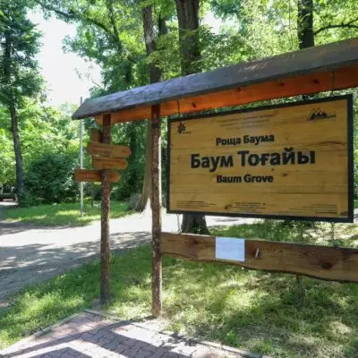 Корпорация «BAZIS-A» сделала важное заявление по роще Баума