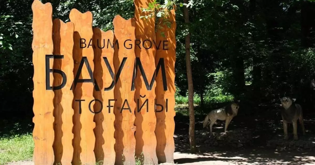  «BAZIS-A» корпорациясы Баума тоғайына қатысты маңызды мәлімдеме жасады 