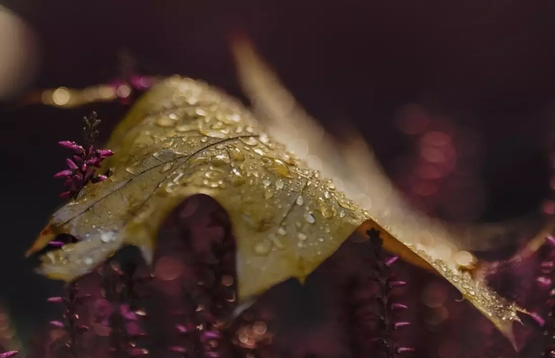 Дождливо и ветрено будет в ближайшие трое суток в Казахстане