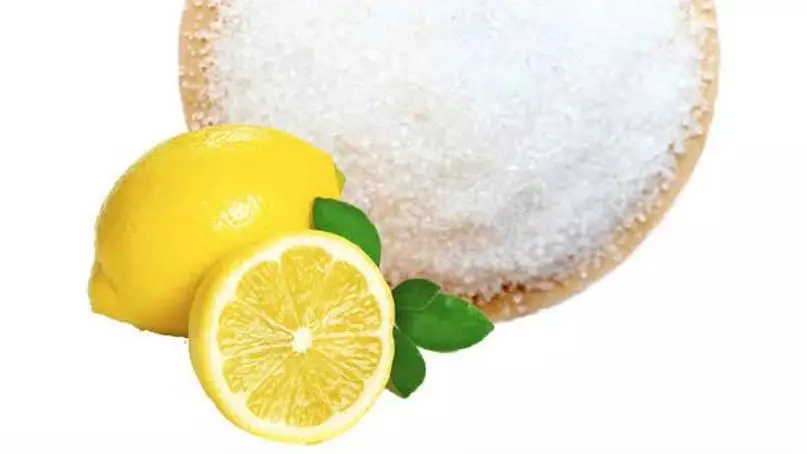 Қостанайда глютен мен лимон қышқылын өндіретін кешен салынады