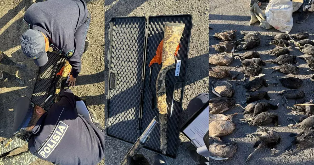  Аралда 55 үйрек пен қасқалдақты заңсыз атқан аңшы ұсталды 