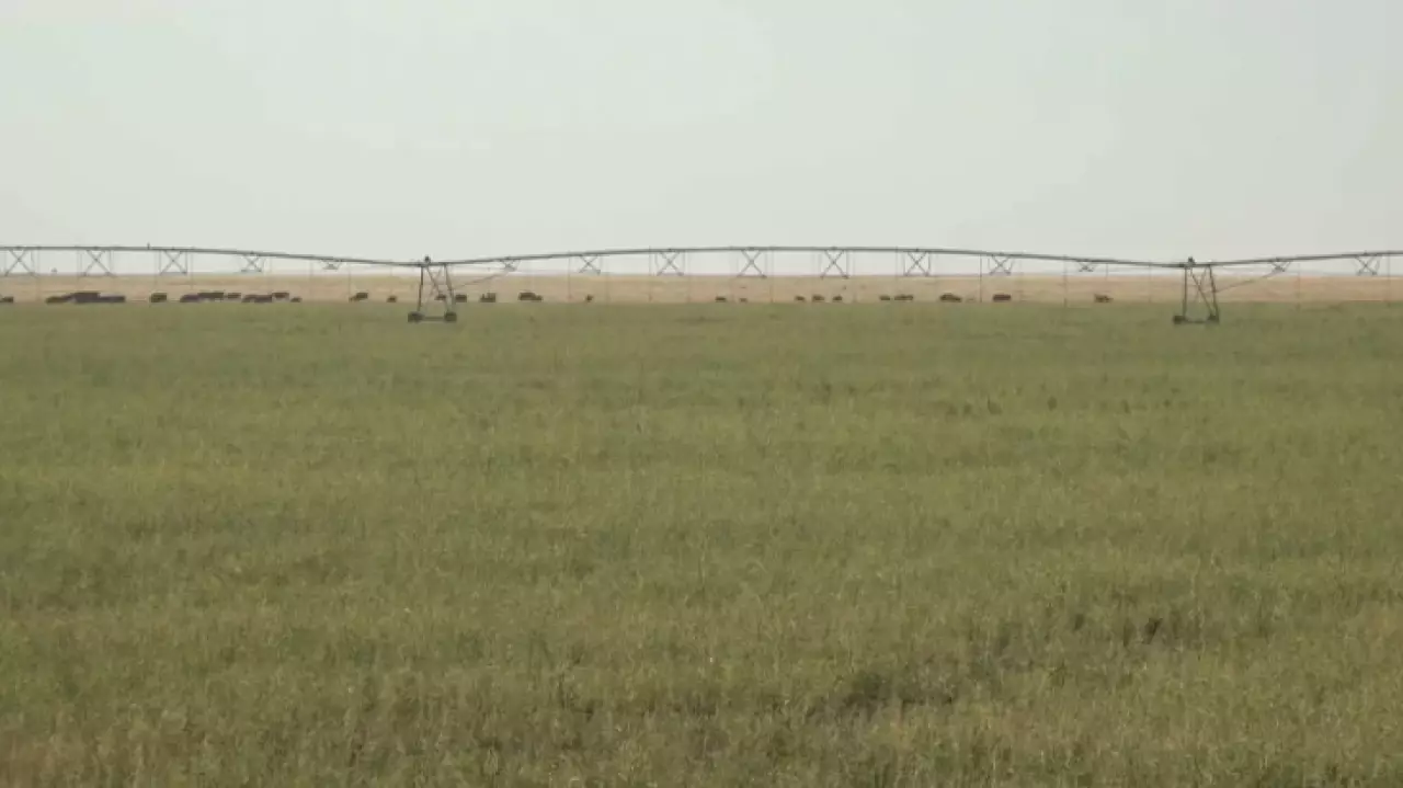 Площади орошаемых земель расширяют в ЗКО