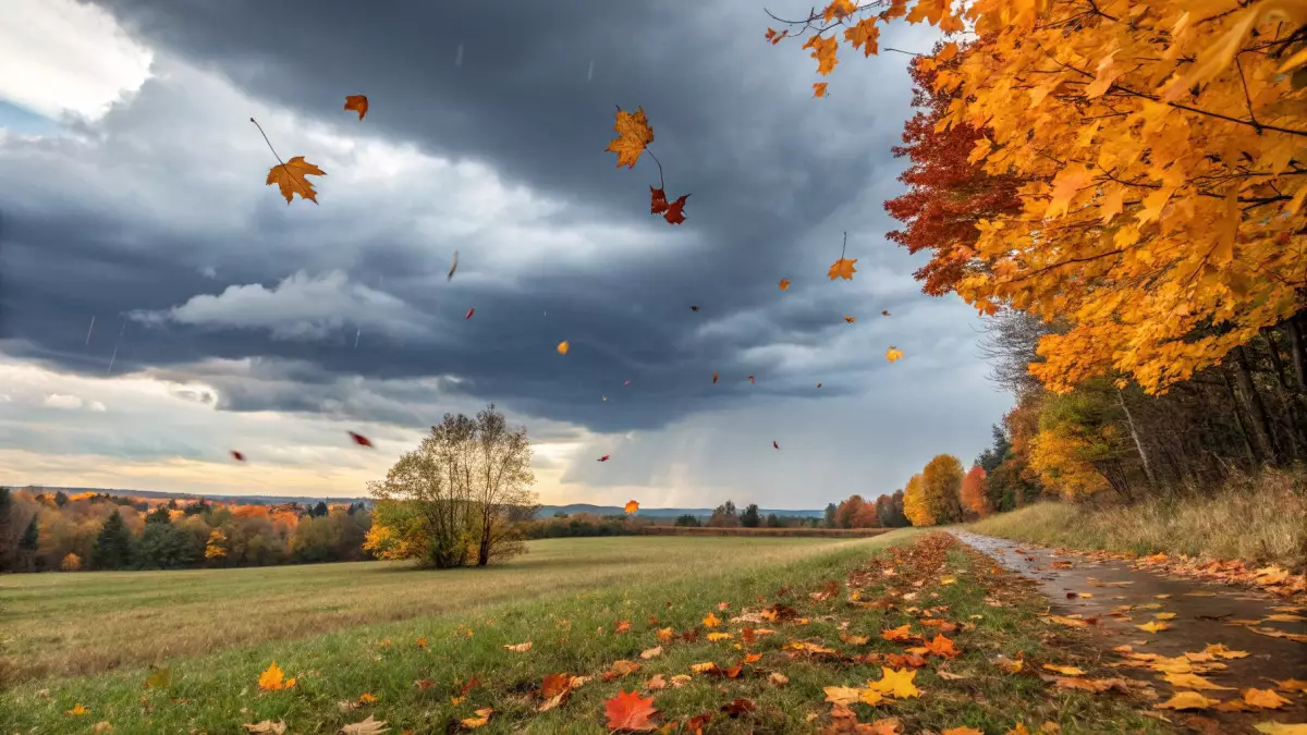 Резкие перемены: какая погода ждет школьников на этой каникулярной неделе