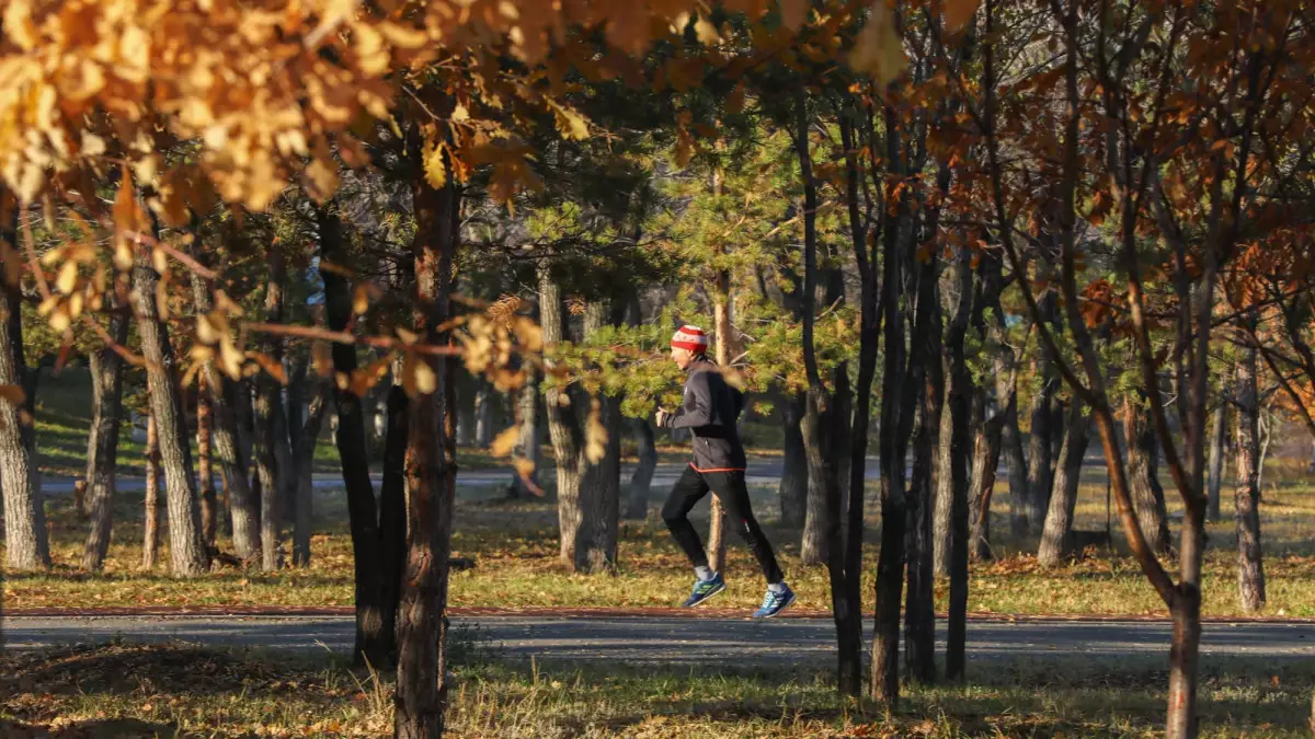 Қараша айында қазақстандықтар 10 күн демалады