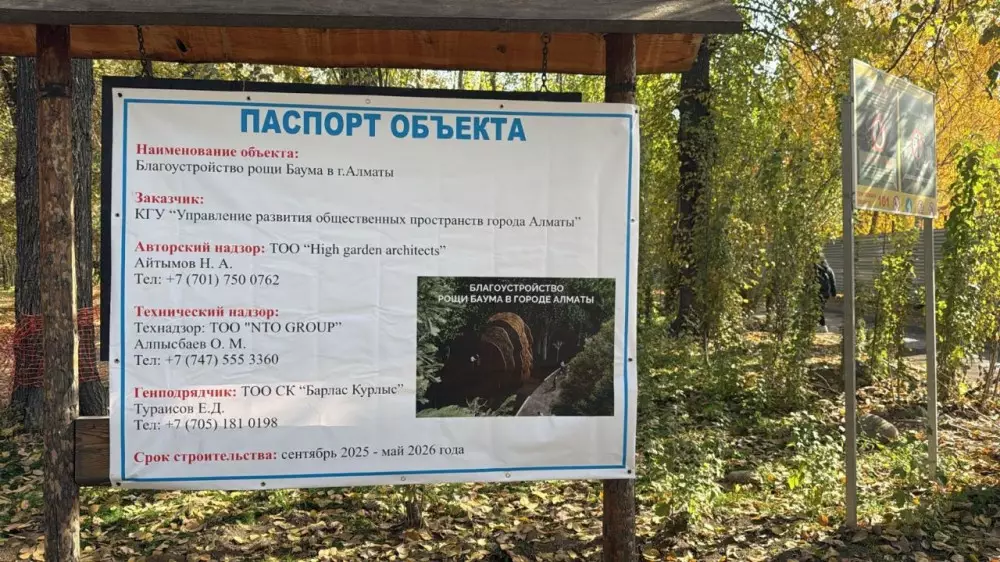 BAZIS-A прокомментировала информацию о “возможной“ застройке рощи Баума