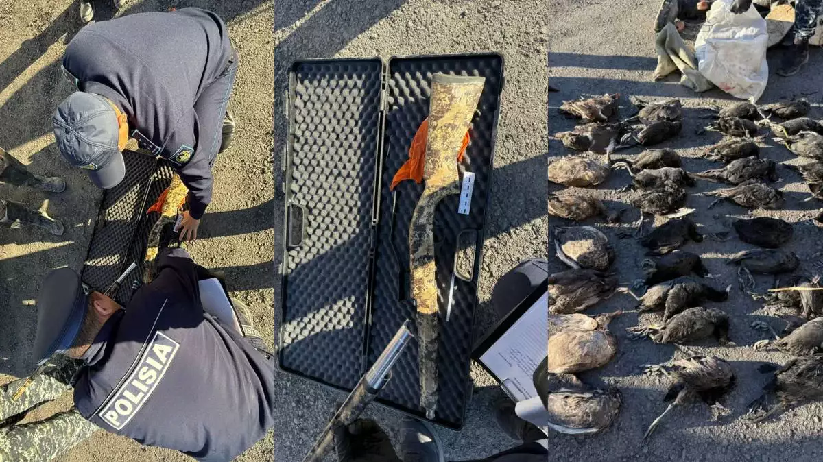 Қызылордада заңсыз аңшылықпен айналысқан азамат анықталды