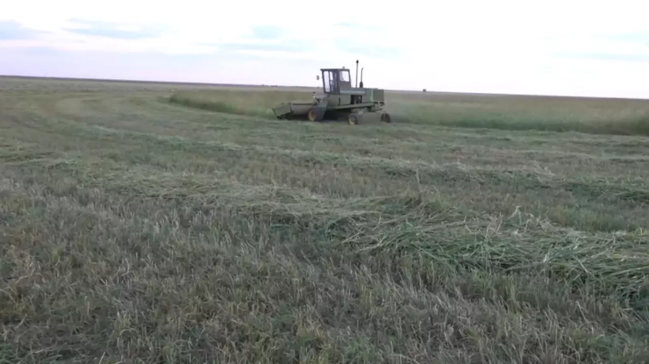 БҚО-да суармалы алқаптар аумағы артты