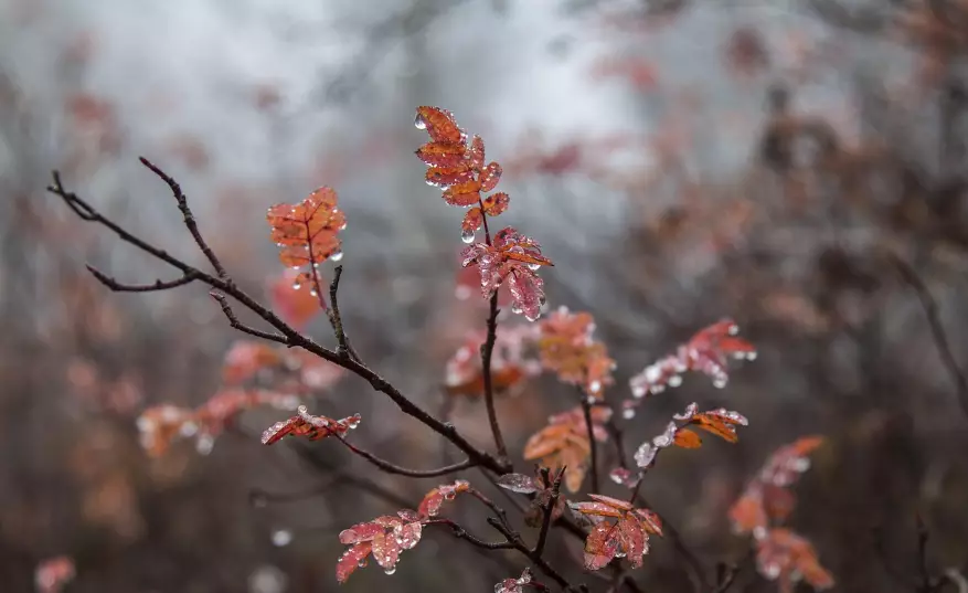 Штормовые предупреждения на вторник объявлены в 15 областях Казахстана