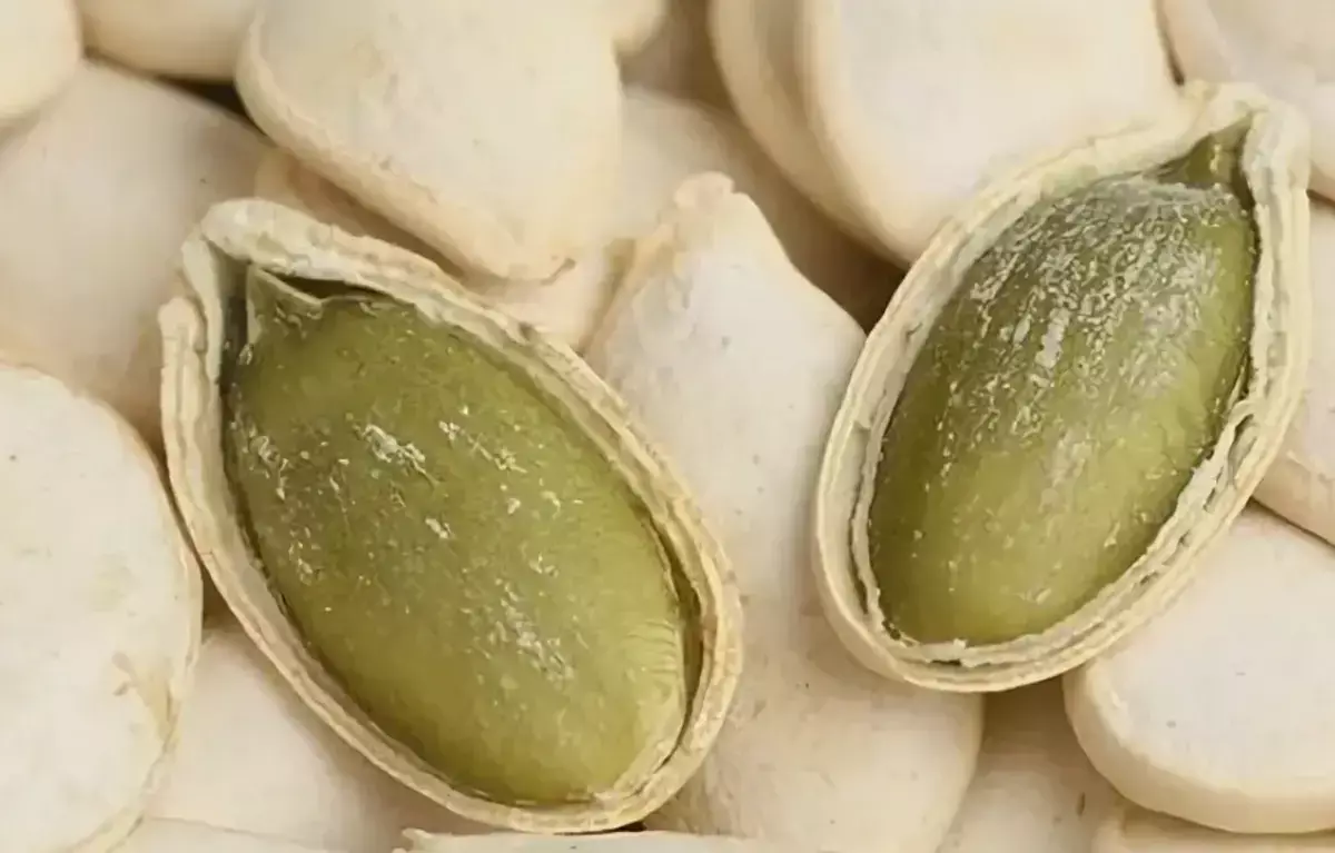 Через месяц кожа как после процедур: секрет — в тыквенных семечках - новости на Lada.kz 27.10.2025