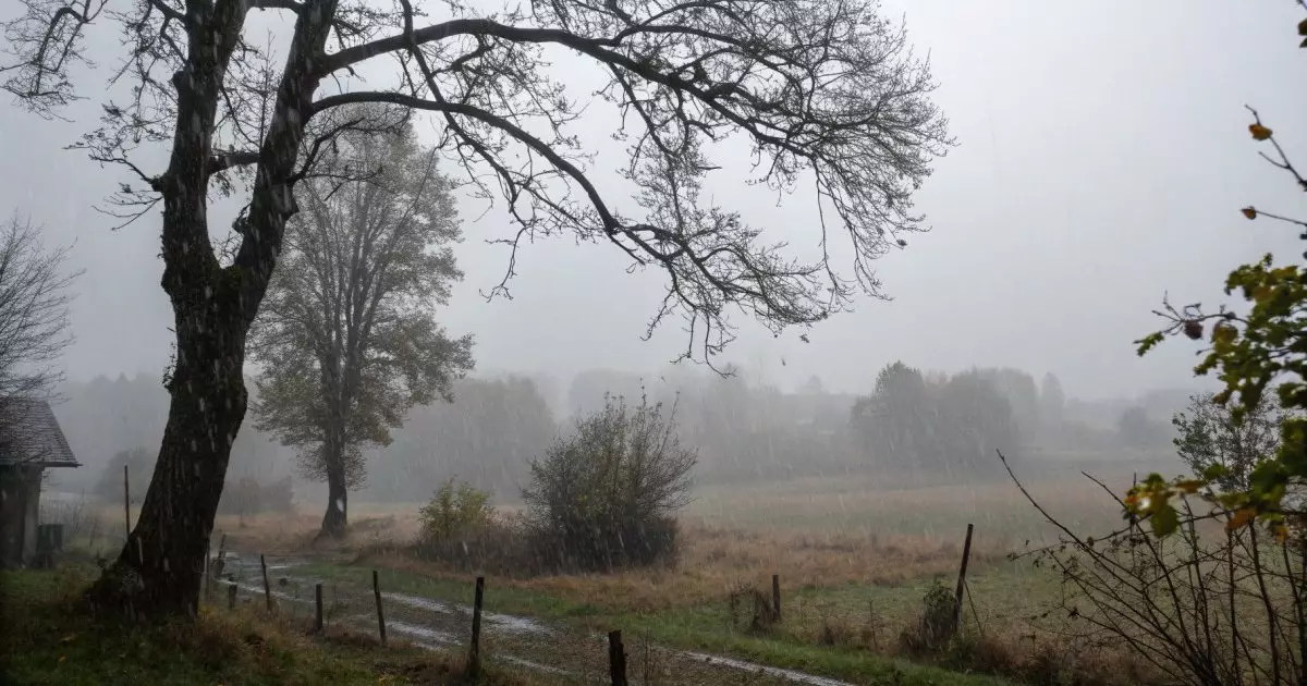 Синоптики прогнозируют дожди и туманы в Казахстане.
