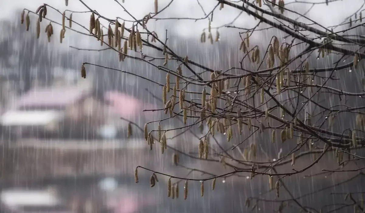 Какая погода ждет казахстанцев 28 октября
