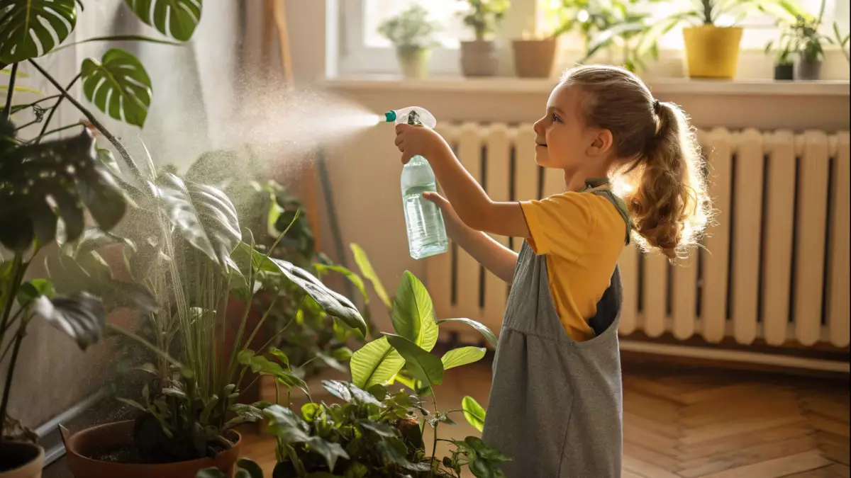 Отопительный сезон против зелёных любимцев: как помочь растениям пережить жару