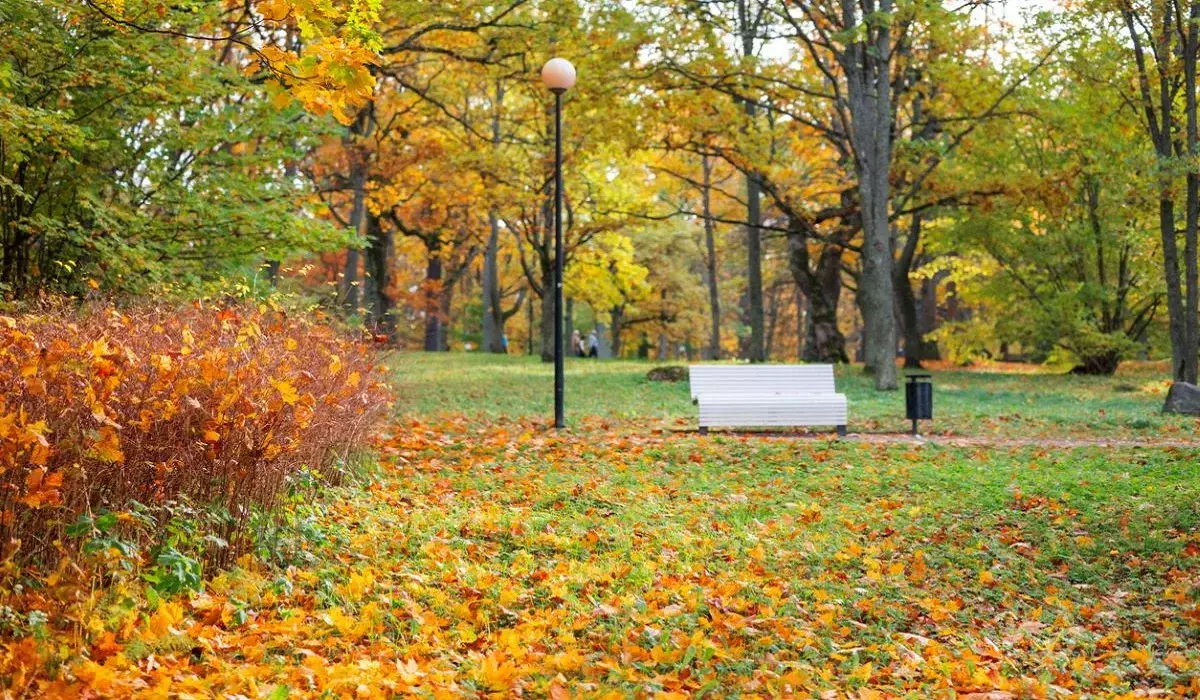 Синоптиктер 28 қазанда ауа райы қандай болатынын болжады