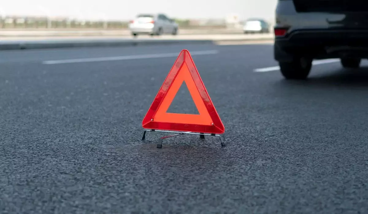 Маңғыстауда жылқының кесірінен екі адам көз жұмды (ВИДЕО)