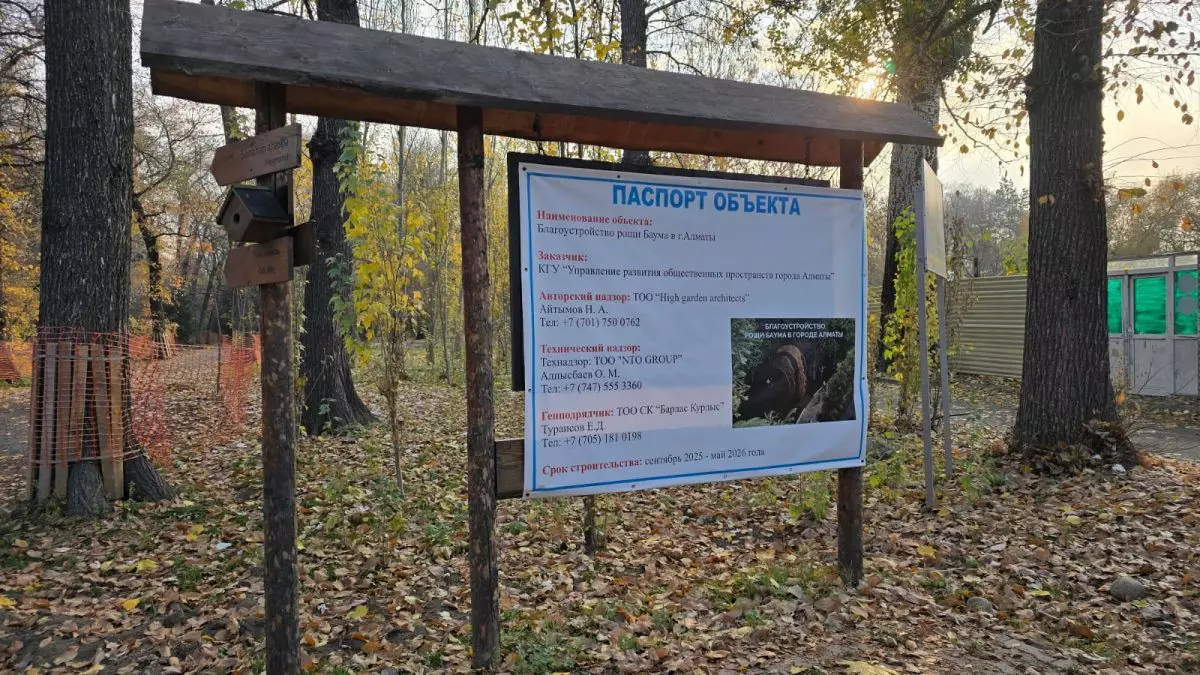 Алматыдағы Баум тоғайындағы ағаштардың кесілуі: жаңа деректер айтылды