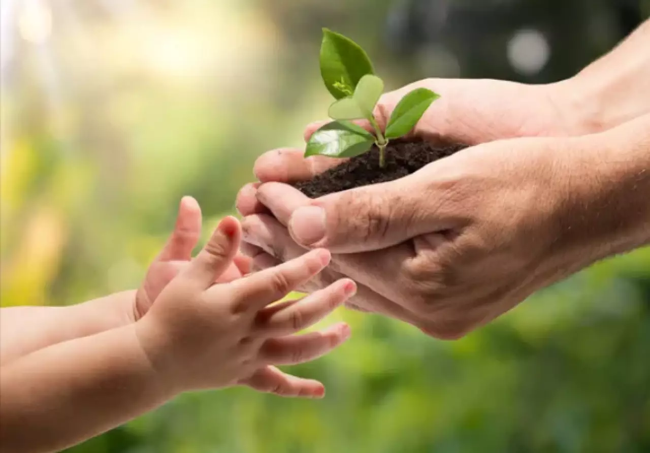 Число «Зеленых детских садов» растёт в Казахстане