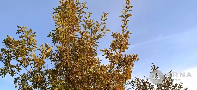 До +28°C прогнозируют синоптики в некоторых регионах Казахстана