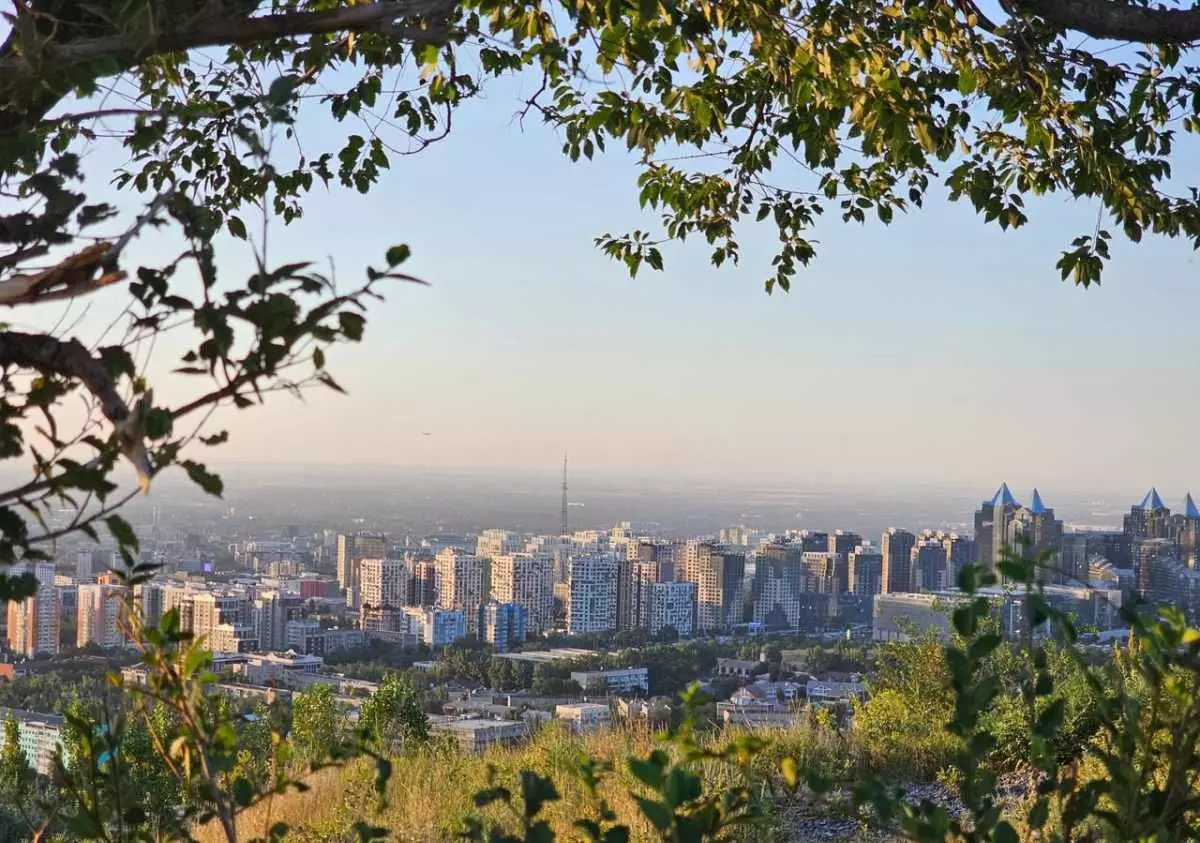 60% выбросов из-за автотранспорта: правила охраны атмосферного воздуха принимают в Алматы