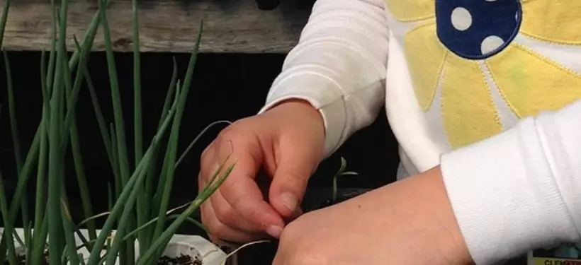 Количество "Зеленых детских садов" растет в Казахстане