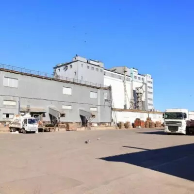 В Карагандинской области увеличилось производство растительного масла благодаря господдержке