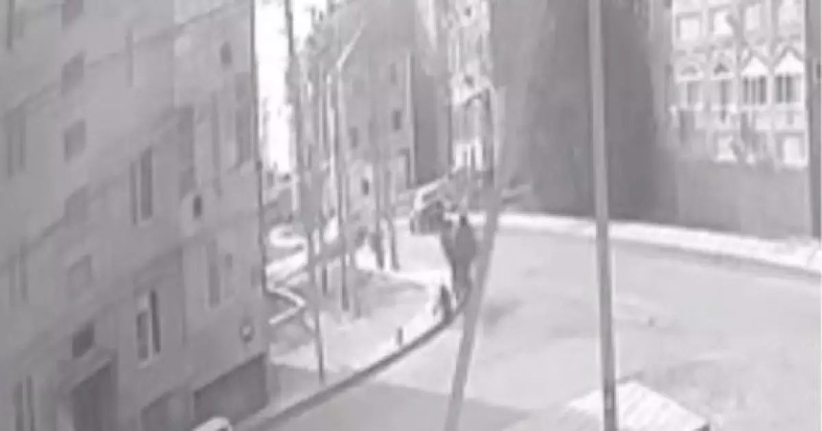   Құлсарыда түйе көшеде кетіп бара жатқан баланы тапап кетті   