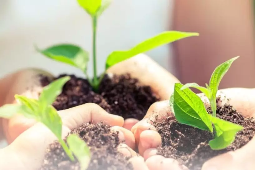 В Казахстане растёт количество "зеленых детских садов"