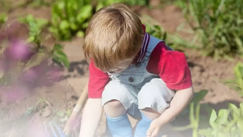 Қазақстанда "Жасыл балабақшалар" саны артып келеді