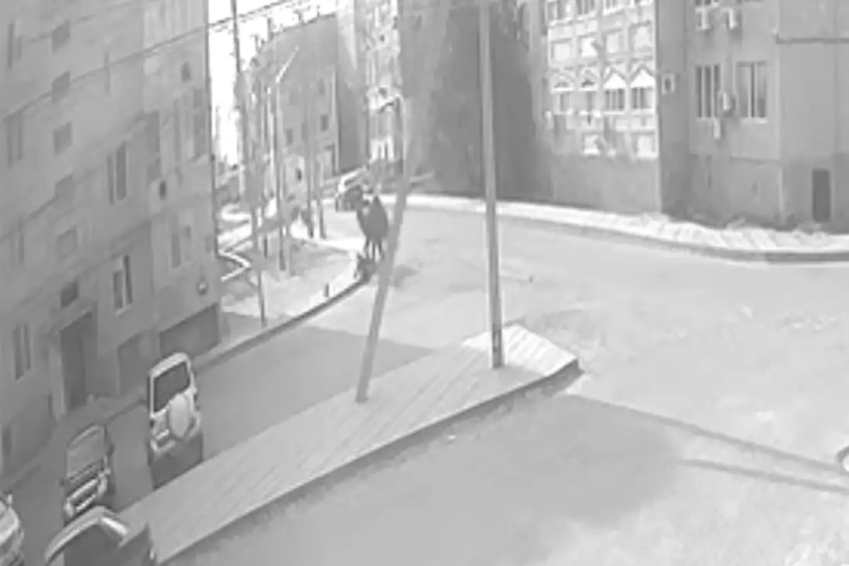 В Кульсары верблюд набросился на подростка