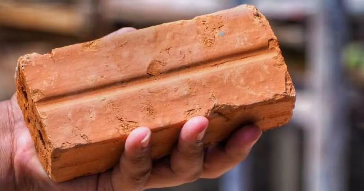  «Кірпішпен ұрған»: Жамбылдық келіншек көршісінің үйіне басып кірген 