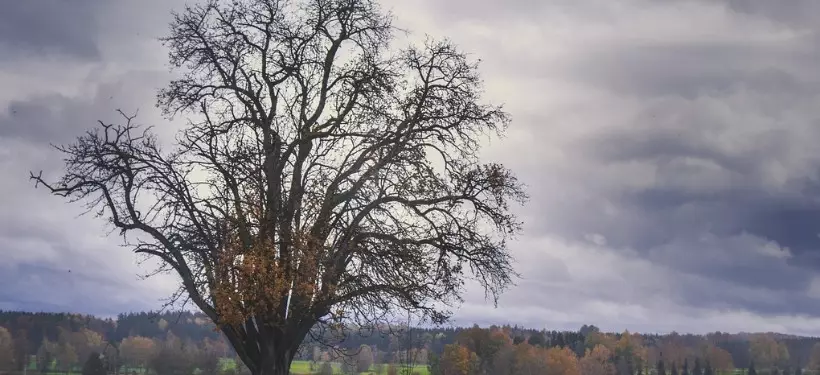 Грозы, дождь, туманы: штормовое предупреждение в нескольких областях Казахстана