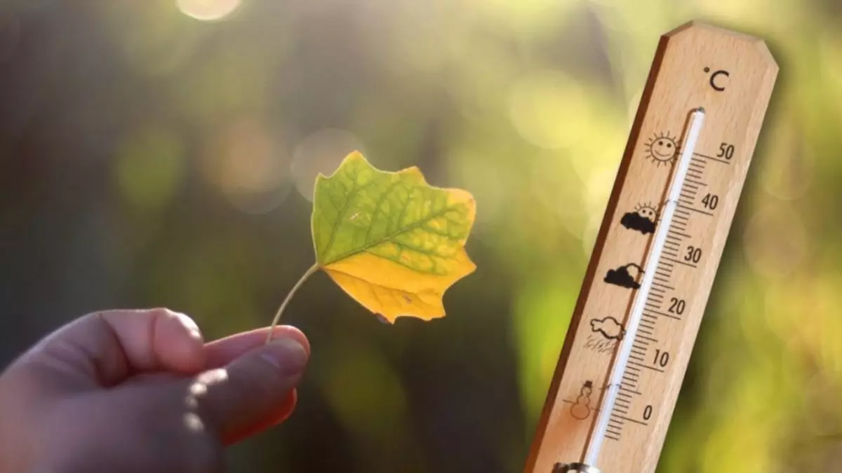 До +24 градусов ожидается в Шымкенте 29 октября