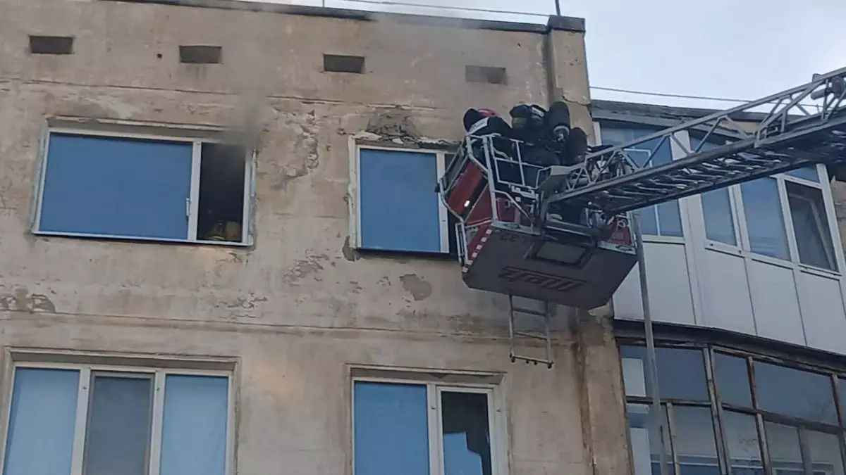 Пожарные реанимировали кошку в Кокшетау (ВИДЕО)