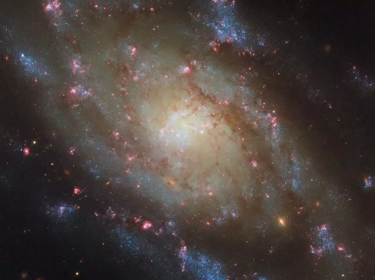 Гороскоп на 29 октября: день, когда дела начинают набирать скорость