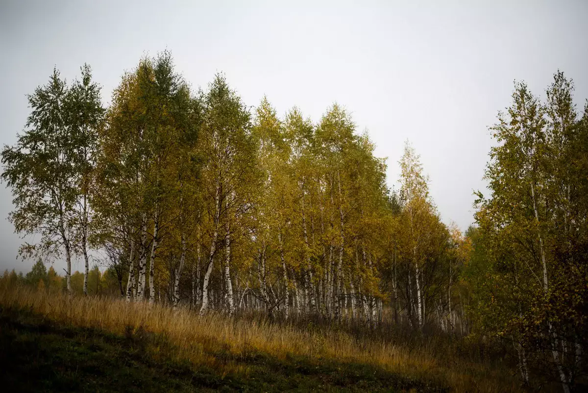 Штормовое предупреждение объявили в 15 регионах Казахстана на 29 октября