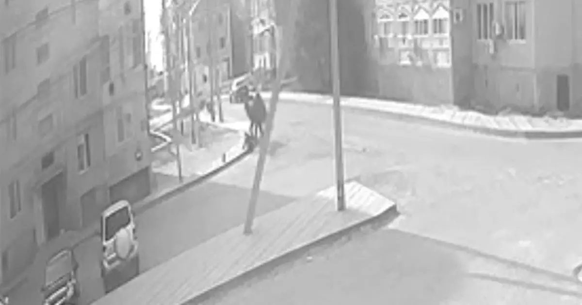  Құлсарыда түйе жасөспірімге шабуыл жасаған (ВИДЕО) 