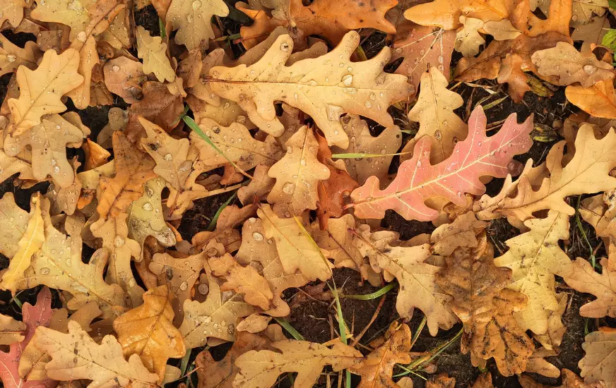 Штормовые предупреждения на среду объявлены в 15 областях Казахстана