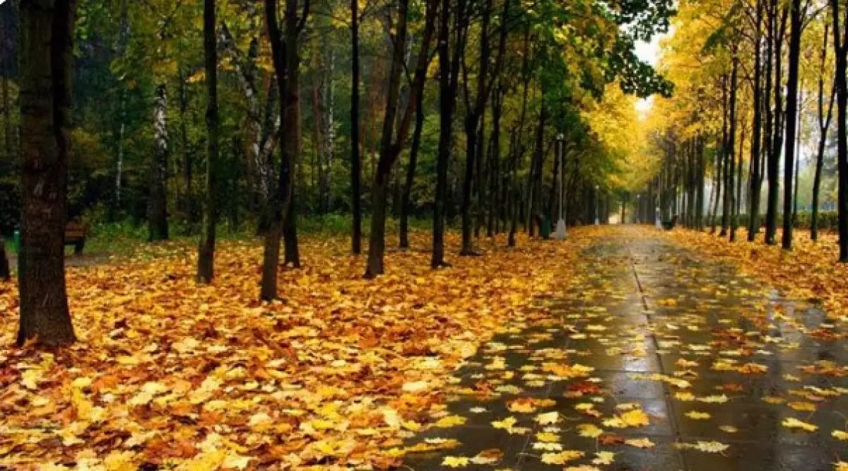 Қалың киіміңіз дайын ба - синоптиктердің болжамы