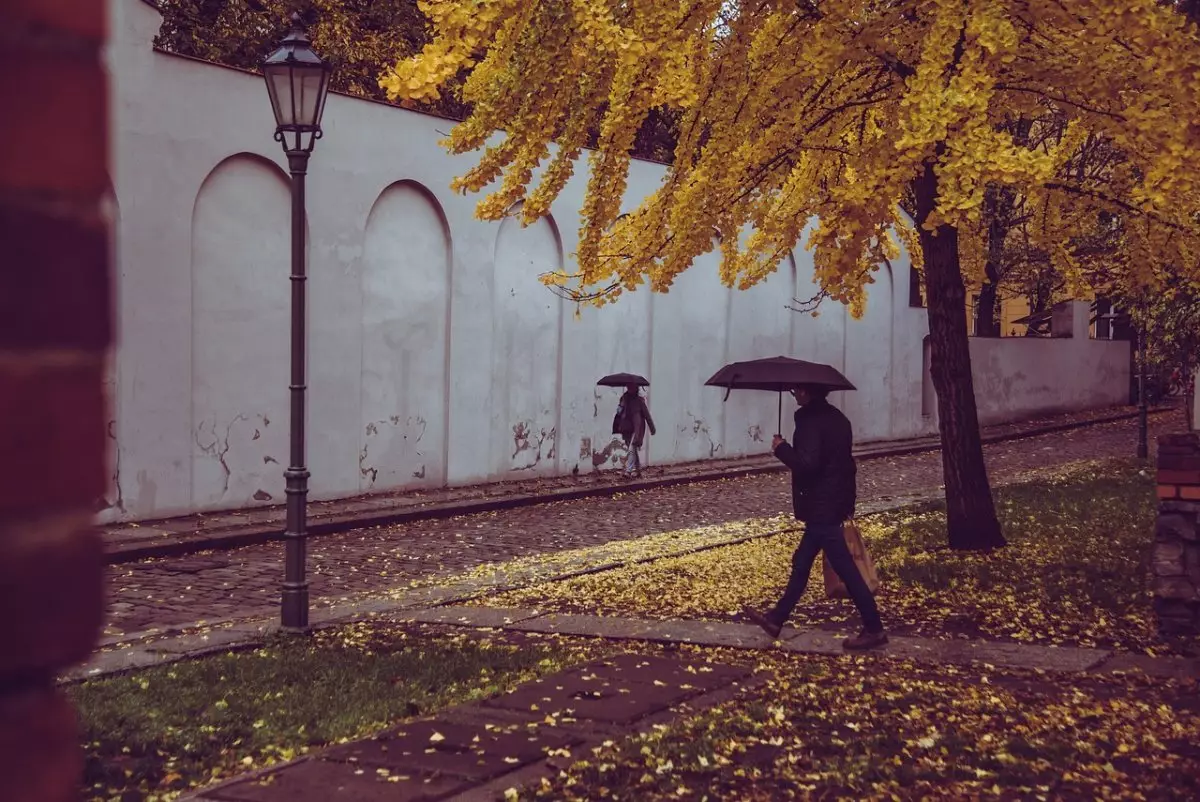 Дожди ожидаются в Казахстане 29 октября