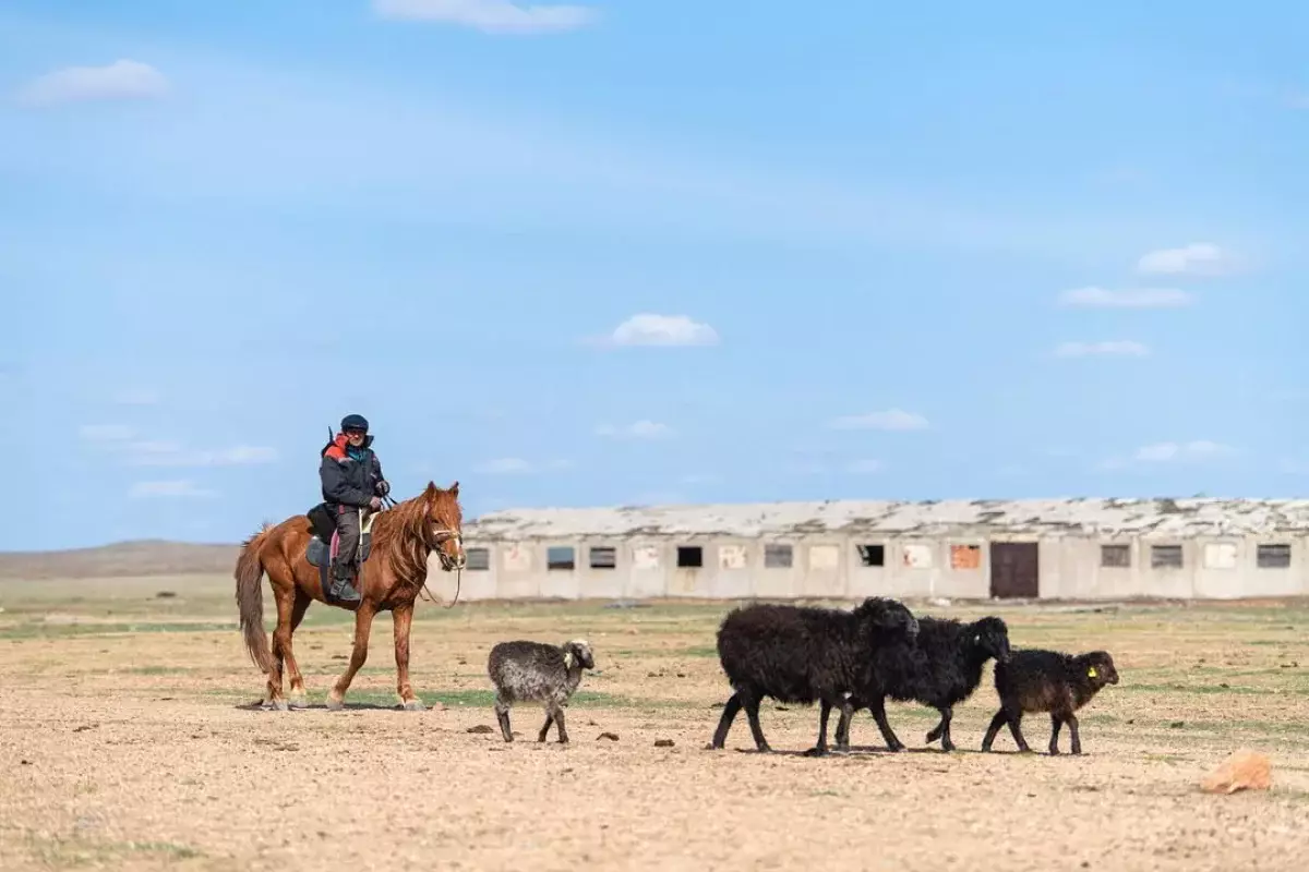 Иностранцам начнут раздавать землю в Казахстане