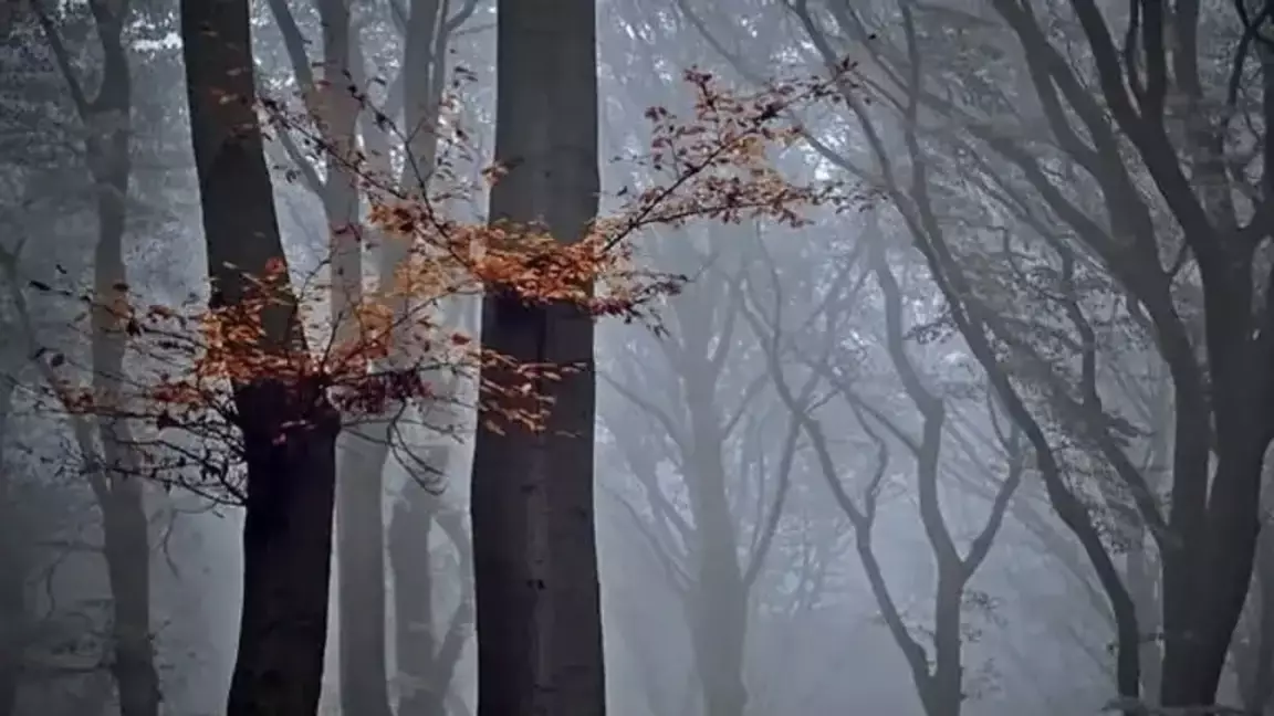 29 қазанға арналған ауа райы болжамы