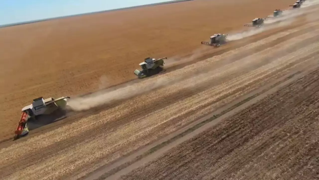 Еуропада жаздық дақылдарды жинау жұмыстары аяқталуға жақын