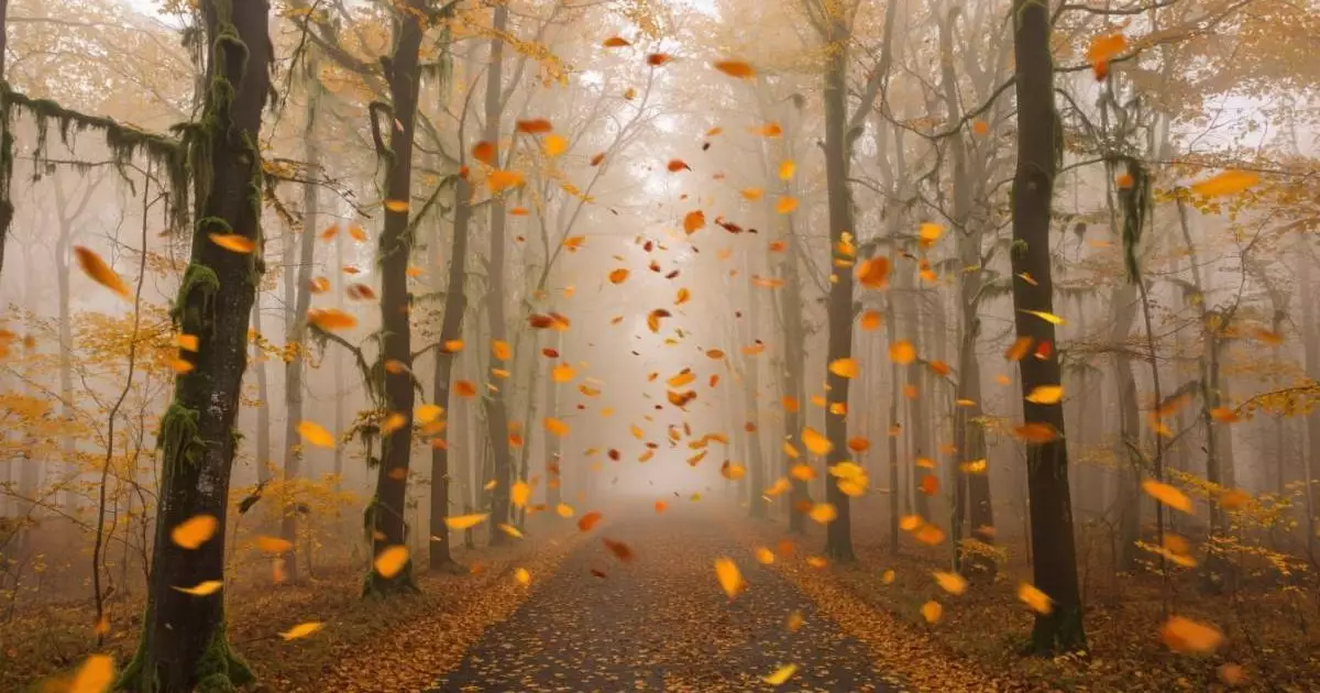  29 қазанға арналған ауа райы болжамы 