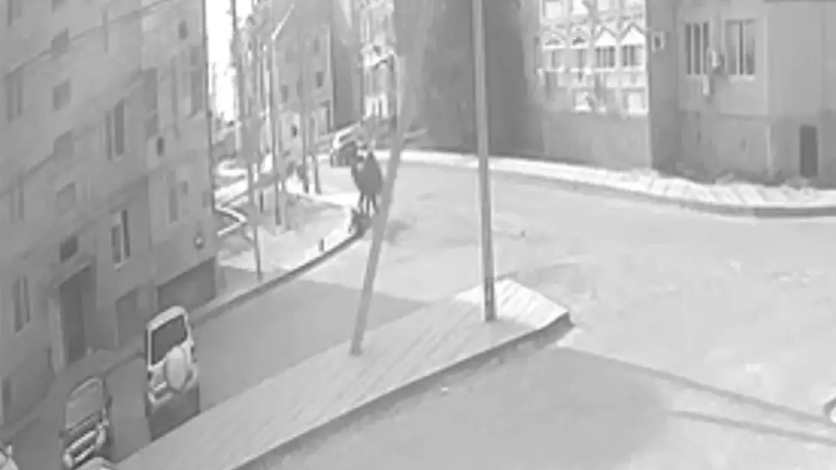 Құлсарыда көшеде жүрген жасөспірімге түйе шабуыл жасады (ВИДЕО)